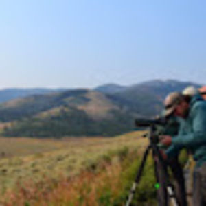 Meet your Posher, Shannon